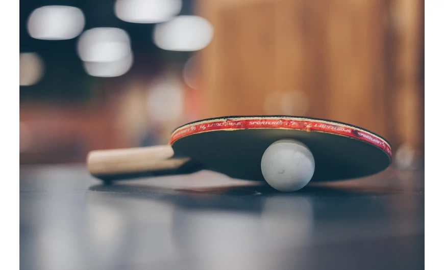 По какви критерии да изберем тенис на маса (пинг-понг) маса?
